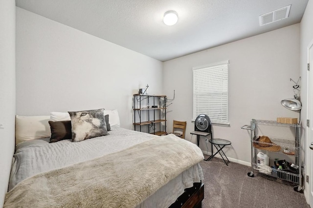 110 N Sage Holw, Dripping Springs, TX 78620 - bedroom featuring carpet and baseboards
