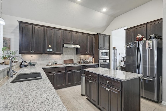110 N Sage Holw, Dripping Springs, TX 78620 - kitchen featuring appliances with stainless steel finishes, a sink, under cabinet range hood, lofted ceiling, and light tile patterned floors