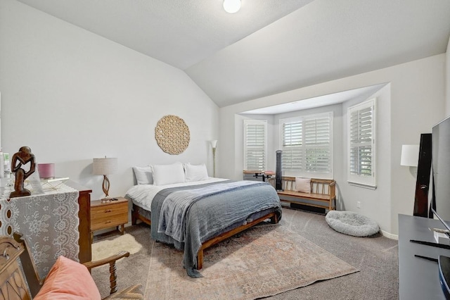 110 N Sage Holw, Dripping Springs, TX 78620 - carpeted bedroom featuring vaulted ceiling and baseboards