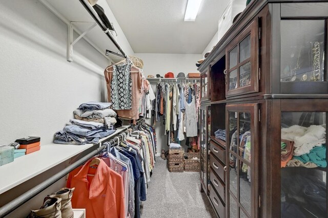 110 N Sage Holw, Dripping Springs, TX 78620 - walk in closet with carpet flooring