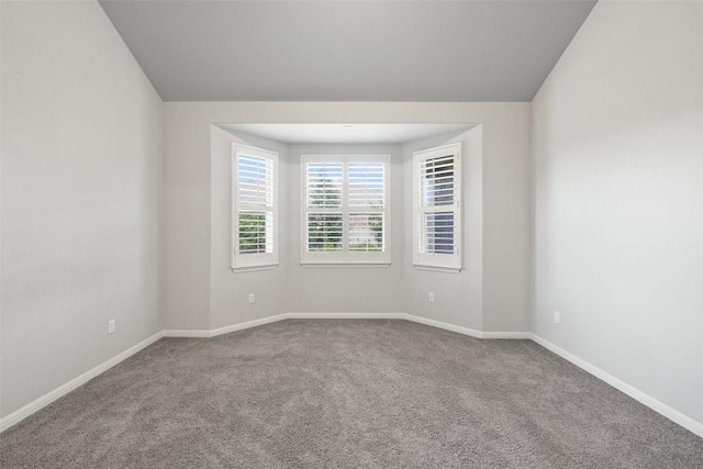 110 N Sage Holw, Dripping Springs, TX 78620 - carpeted spare room featuring baseboards and lofted ceiling