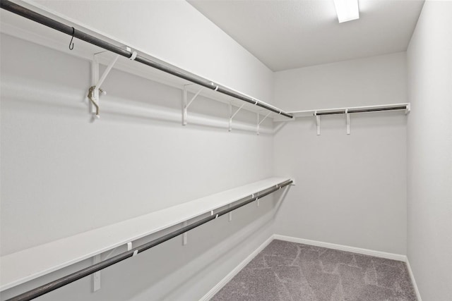 110 N Sage Holw, Dripping Springs, TX 78620 - walk in closet featuring carpet floors