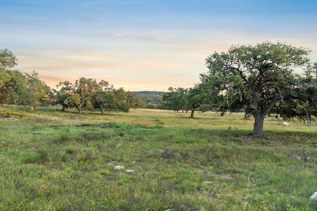 262 Cuesta Pass, Driftwood, TX 78619