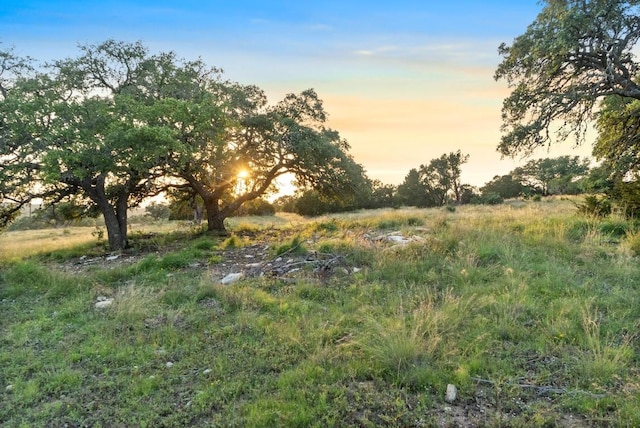 262 Cuesta Pass, Driftwood, TX 78619