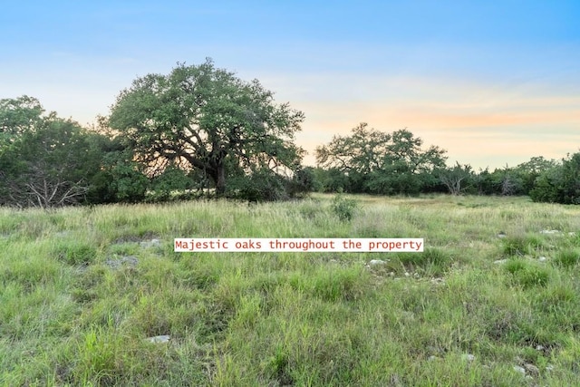 262 Cuesta Pass, Driftwood, TX 78619