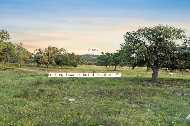 262 Cuesta Pass, Driftwood, TX 78619