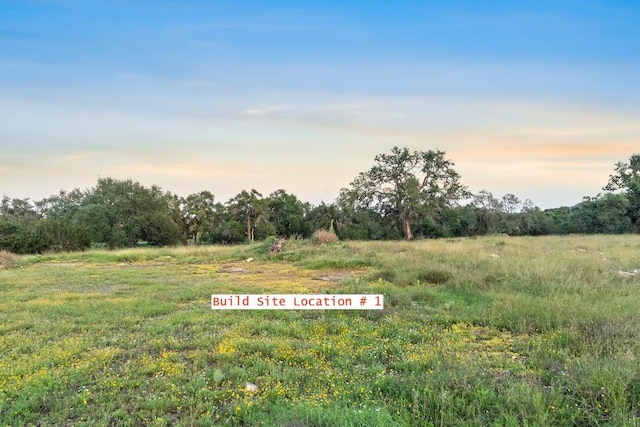 262 Cuesta Pass, Driftwood, TX 78619