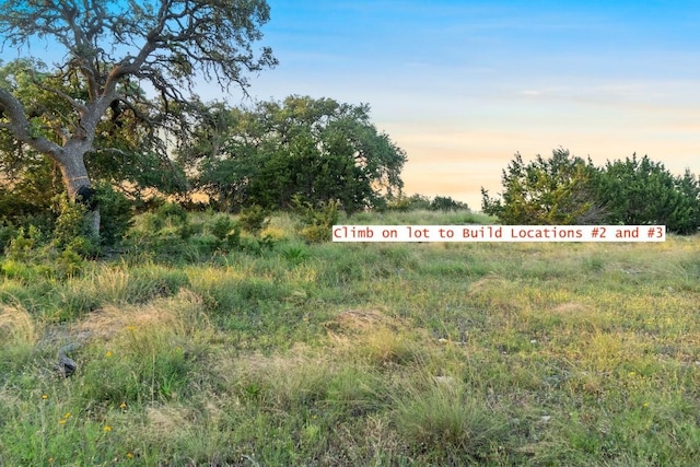 262 Cuesta Pass, Driftwood, TX 78619