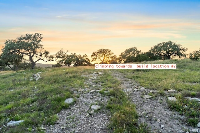 262 Cuesta Pass, Driftwood, TX 78619