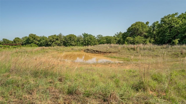 2485 County Road 258, Cameron, TX 76520 - photo 15