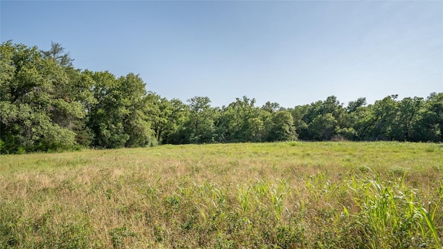 2485 County Road 258, Cameron, TX 76520 - photo 6