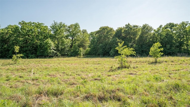 2485 County Road 258, Cameron, TX 76520 - photo 9
