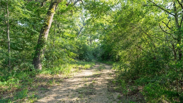 2485 County Road 258, Cameron, TX 76520 - photo 10