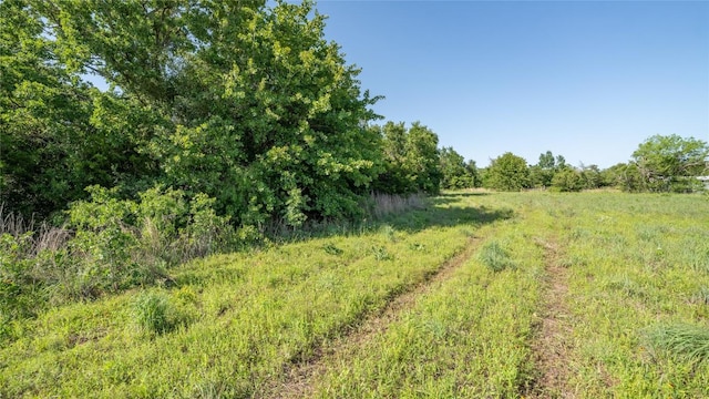 2485 County Road 258, Cameron, TX 76520 - photo 11