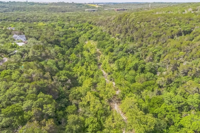 2502 Side Cv, Austin, TX 78704 - aerial view of a forest