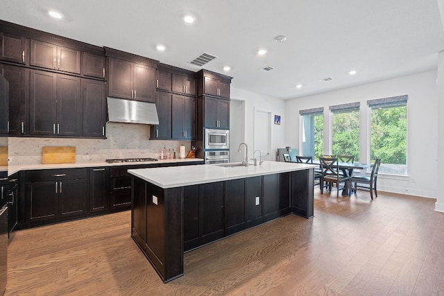 1616 Illawarra Way, Leander, TX 78641 - kitchen with appliances with stainless steel finishes, under cabinet range hood, light wood finished floors, light countertops, and recessed lighting