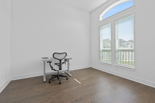 1616 Illawarra Way, Leander, TX 78641 - unfurnished office featuring plenty of natural light, dark wood-type flooring, and baseboards