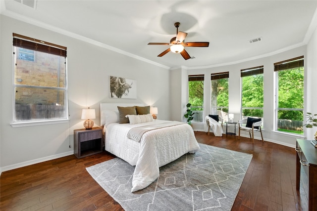 1607 Mesa Verde Dr, Round Rock, TX 78681 - bedroom with multiple windows, hardwood / wood-style flooring, ornamental molding, and baseboards
