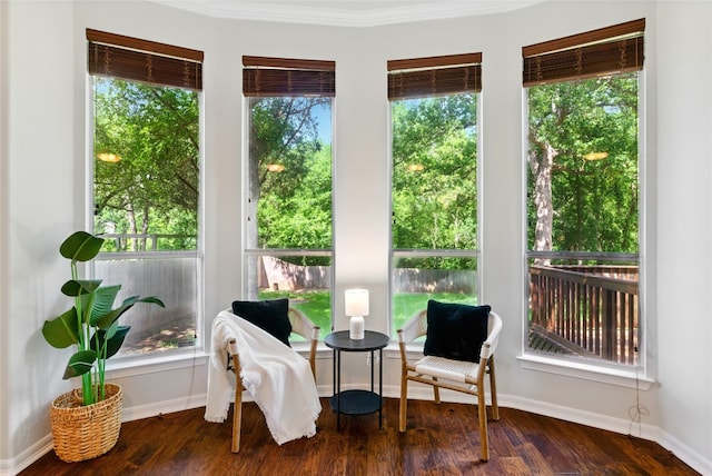 1607 Mesa Verde Dr, Round Rock, TX 78681 - sitting room featuring baseboards and wood finished floors