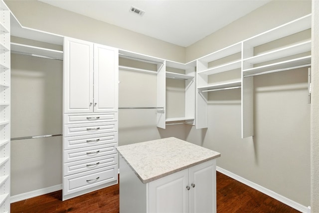 1607 Mesa Verde Dr, Round Rock, TX 78681 - walk in closet featuring dark wood finished floors