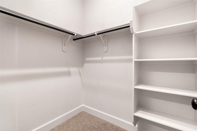 639 Bay Breeze Dr, Kyle, TX 78640 - spacious closet featuring carpet flooring