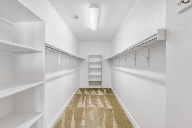 710 Breezeway Ln, Georgetown, TX 78633 - walk in closet with carpet flooring
