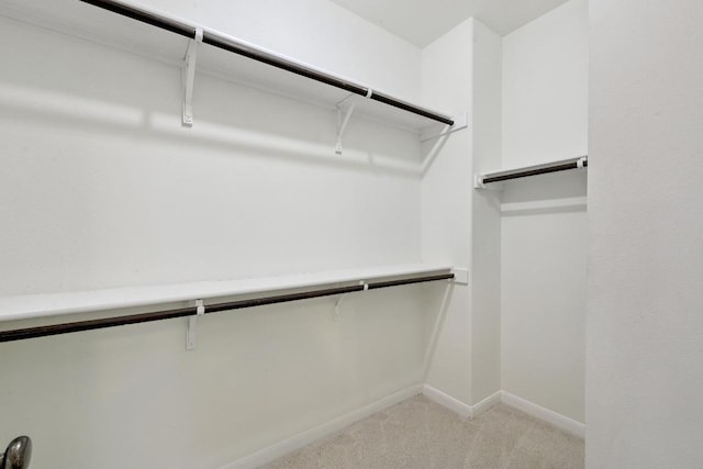 503 S Meadowlark St Unit B, Lakeway, TX 78734 - walk in closet with light carpet