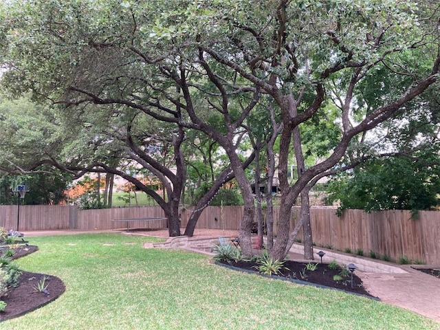 1401 Brixey Cv, Austin, TX 78754 - view of fenced backyard