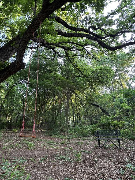 1401 Brixey Cv, Austin, TX 78754 - view of woods