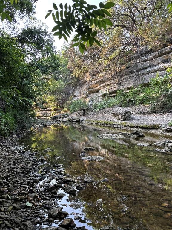 1401 Brixey Cv, Austin, TX 78754 - view of local wilderness