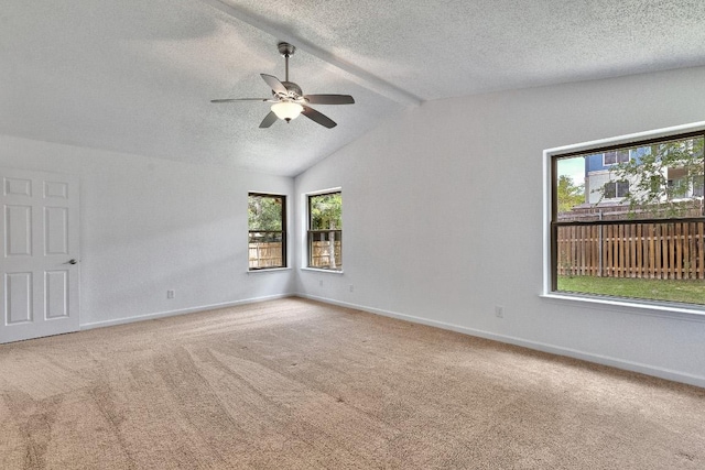 13269 Kerrville Folkway, Austin, TX 78729 - photo 18