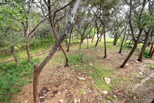 6000 Shepherd Mountain Cv Unit 107, Austin, TX 78730 - view of nature