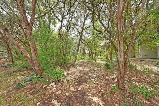 6000 Shepherd Mountain Cv Unit 107, Austin, TX 78730 - view of nature