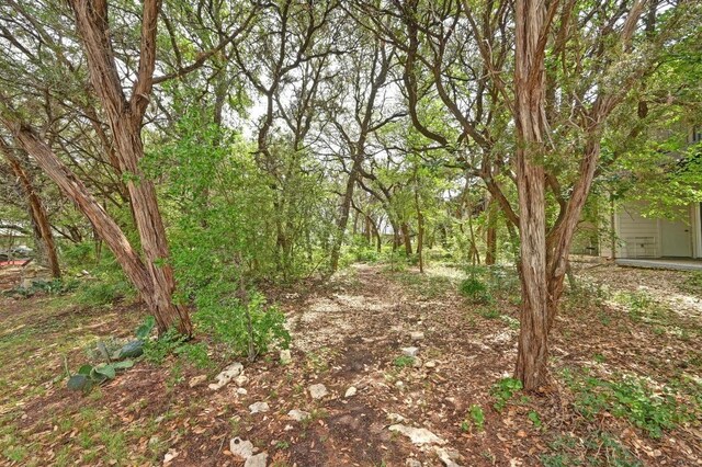 6000 Shepherd Mountain Cv Unit 107, Austin, TX 78730 - view of nature
