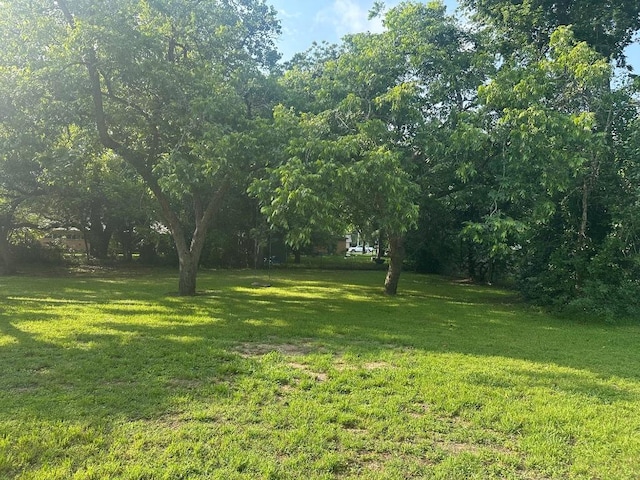 762 E Walnut St, La Grange, TX 78945 - view of grassy yard