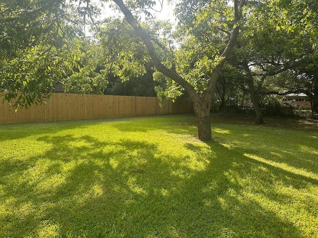 762 E Walnut St, La Grange, TX 78945 - view of yard