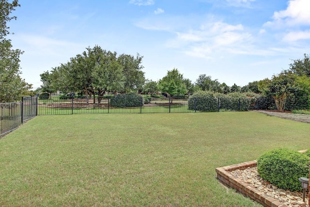 122 Coffee Mill Creek Rd, Georgetown, TX 78633 - view of yard
