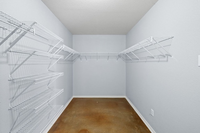 3321 Winding River Trl, Round Rock, TX 78681 - view of walk in closet