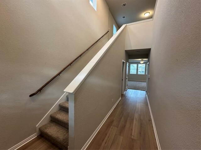 152 Mason Hill Ln, Georgetown, TX 78628 - stairway with wood finished floors, baseboards, a high ceiling, and a textured wall