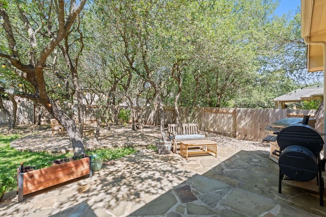 11036 Cherisse Dr, Austin, TX 78739 - view of patio / terrace featuring a fenced backyard