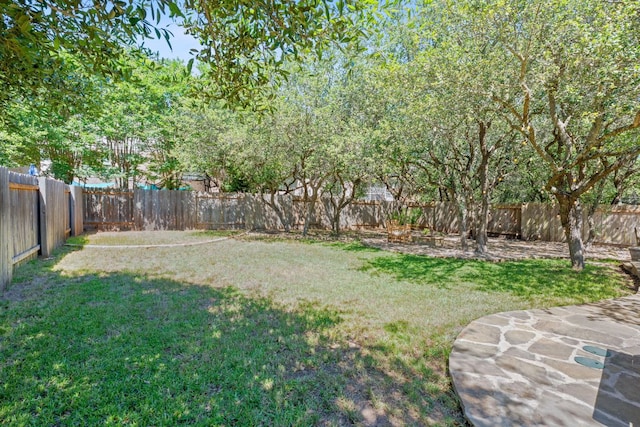 11036 Cherisse Dr, Austin, TX 78739 - view of yard