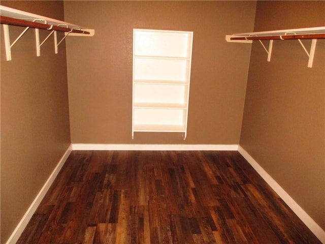 walk in closet featuring wood finished floors