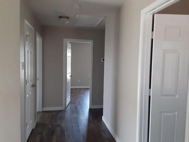 corridor with dark wood finished floors, baseboards, and attic access