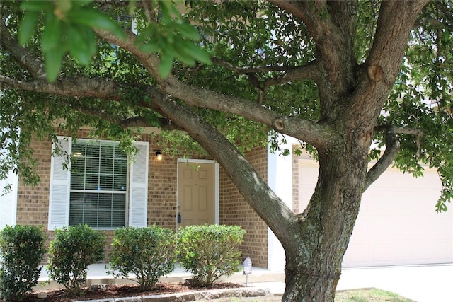 18354 Basket Flower Bnd, Elgin, TX 78621 - view of front of home with brick siding and concrete driveway