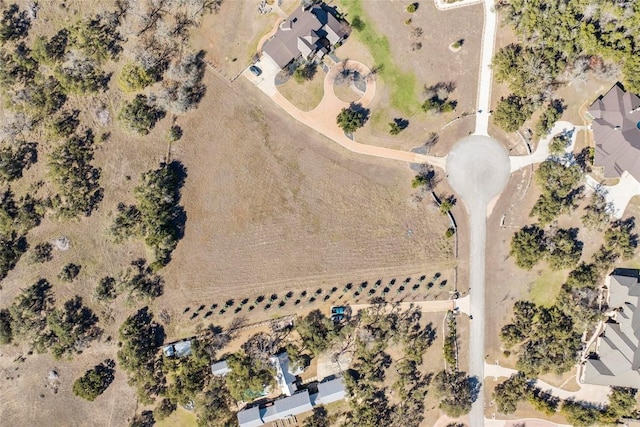 623 Dario Dr, Dripping Springs, TX 78620 - photo 19
