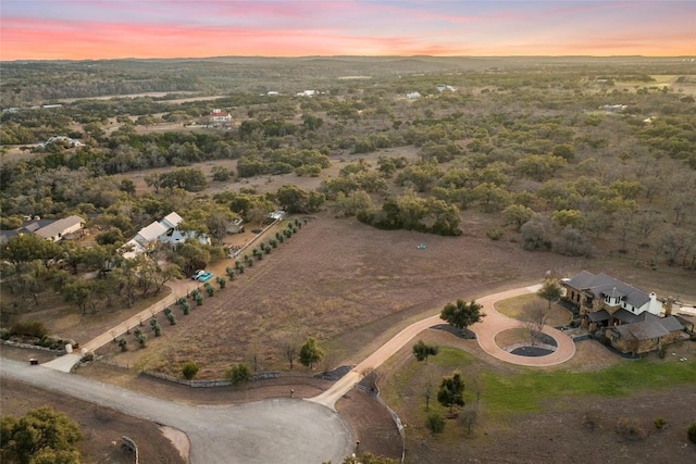 623 Dario Dr, Dripping Springs, TX 78620 - photo 27