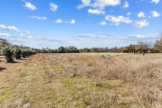 623 Dario Dr, Dripping Springs, TX 78620 - photo 6