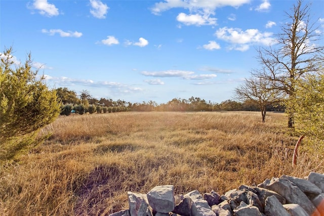 623 Dario Dr, Dripping Springs, TX 78620 - photo 9