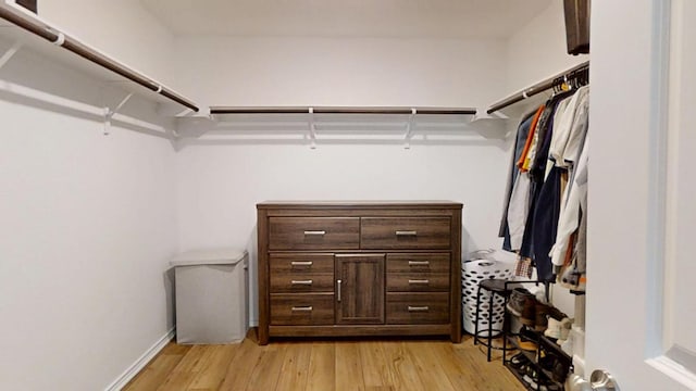 221 Mendoza, Kyle, TX 78640 - walk in closet featuring light wood-style flooring