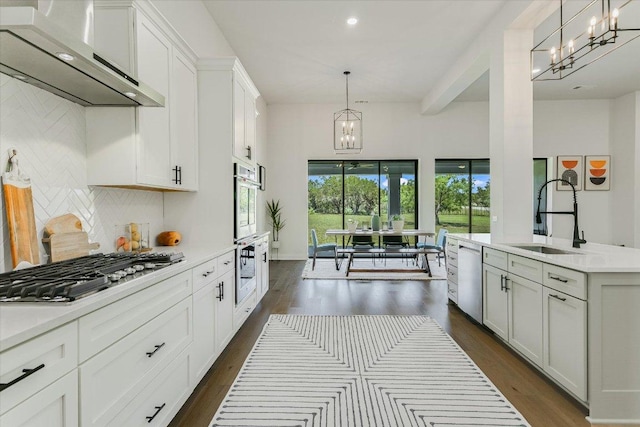 kitchen with a sink, range hood, appliances with stainless steel finishes, a chandelier, and dark wood-style flooring